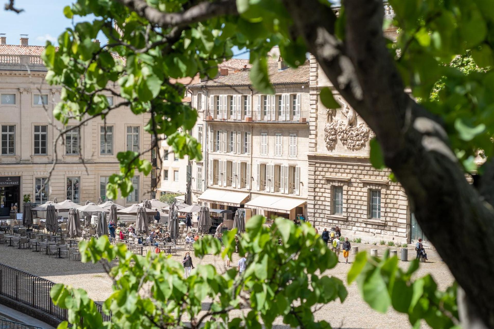 Bien D'Exception En Face Du Palais Des Papes Apartment Avignon Luaran gambar